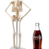 Human Skeleton Model NEW HORIZON Hand Painted Educational Anatomical-7
