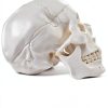 Medarchitect White Skull Anatomical Model UL105 Wall Mount-0