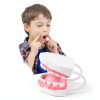 Magnum Mouth Model Ultrassist 6x Enlarged Model with White Hinge-3