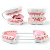 Magnum Mouth Model Ultrassist 6x Enlarged Model with White Hinge-7