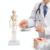 Pipilily Mini Skeleton Model Adjustable Plastic Human Figure 7.8 Inch-1