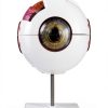 Eye Anatomical Model QWORK PVC 6X Magnification Educational Tool-0