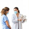 Merinden Female Pelvis Model Life‑Size with Elastic Cords-5
