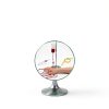 WELLiSH Anatomical Arm Model Medium PVC Latex Phlebotomy Trainer-5