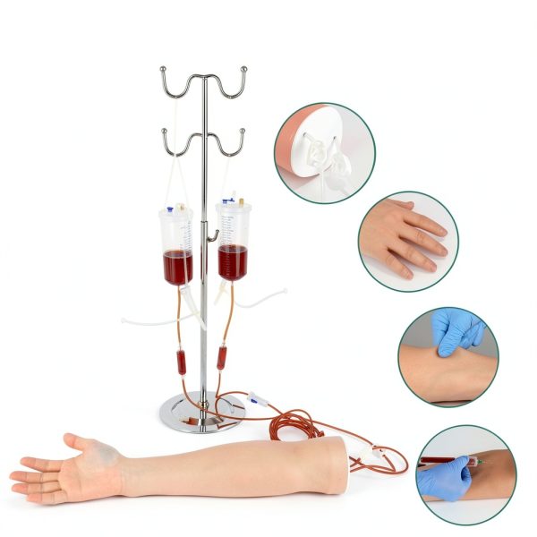 Skillssist Phlebotomy Training Arm with Realistic Vein Model-1