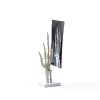 LVCHEN Human Hand Skeleton Model Anatomical Educational Tool with-1
