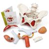 Female Pelvic Floor Model Benilev Life Size Hand Painted PVC-4