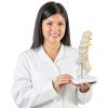 Lumbar Spine Anatomy Model by breesky Life Size PVC 5 Vertebrae-6