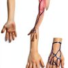 WELLiSH Anatomical Arm Model Medium PVC Latex Phlebotomy Trainer-3