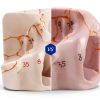 Anatomical Skull Model Medarchitect UL127 Laser Etched PVC Kit-1