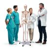 Life Size Human Skeleton 70.8in GOFLAME Model with Rolling Stand-8