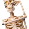 Human Skeleton Model NEW HORIZON Hand Painted Educational Anatomical-4