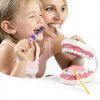 Magnum Mouth Model Ultrassist 6x Enlarged Model with White Hinge-4