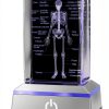 Philosophers Arts and Crafts K9 Crystal Human Skeleton Model Desk-0