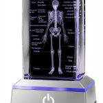 Philosophers Arts and Crafts K9 Crystal Human Skeleton Model Desk-0