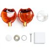 Eye Anatomical Model QWORK PVC 6X Magnification Educational Tool-6